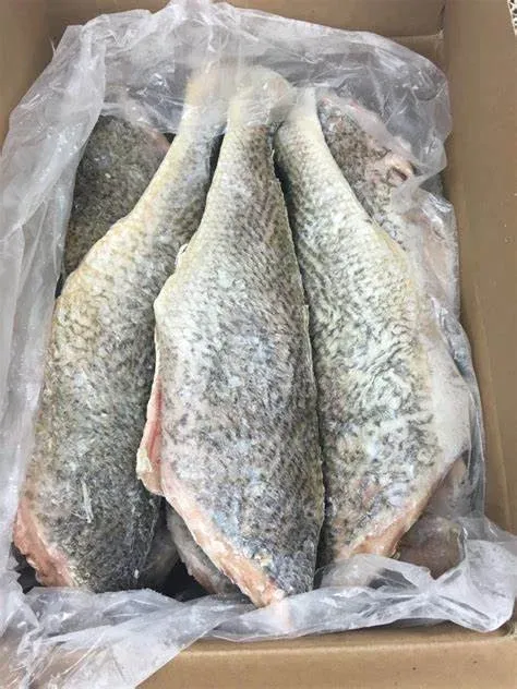 Croaker 2.5kg x 2