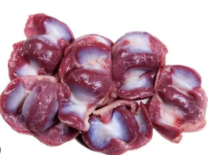 Gizzard