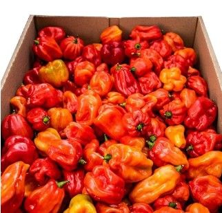 Ugandan Hot Pepper, Box