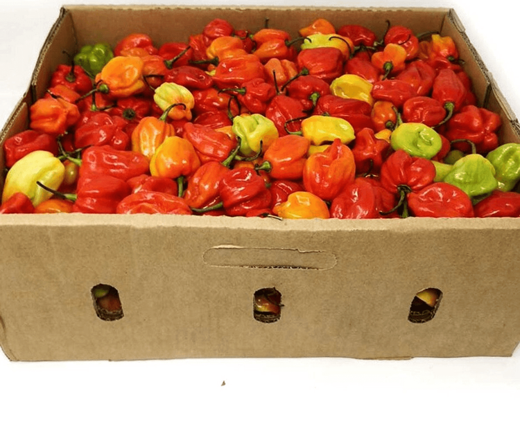 Hot Pepper, Box