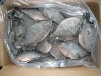 Tilapia, 3kg