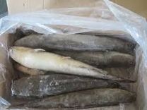 Frozen Catfish - 2.5kg