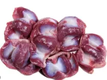 Gizzard