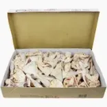 Pulvera Chicken Legs and Thigh, 10kg