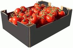Vine Tomatoes, Box